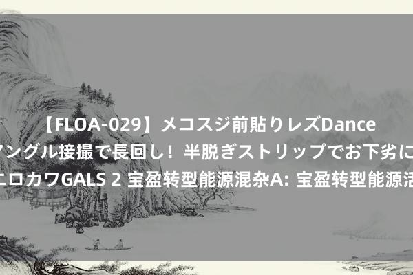 【FLOA-029】メコスジ前貼りレズDance オマ○コ喰い込みをローアングル接撮で長回し!半脱ぎストリップでお下劣にケツをシェイクするエロカワGALS 2 宝盈转型能源混杂A: 宝盈转型能源活泼确立混杂型证券投资基金(宝盈转型能源混杂A份额)基金家具贵府节录(更新)