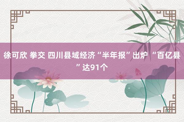 徐可欣 拳交 四川县域经济“半年报”出炉 “百亿县”达91个
