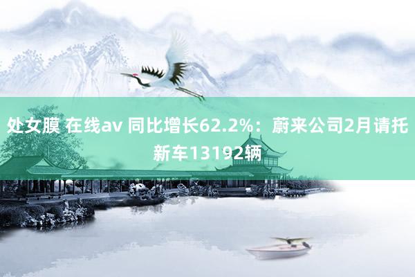 处女膜 在线av 同比增长62.2%：蔚来公司2月请托新车13192辆