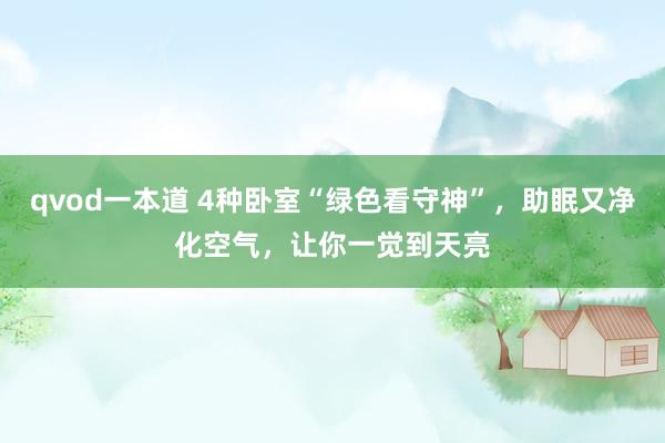 qvod一本道 4种卧室“绿色看守神”，助眠又净化空气，让你一觉到天亮