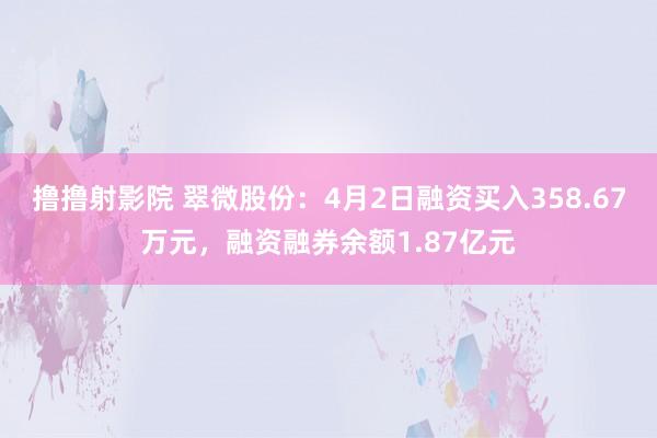 撸撸射影院 翠微股份：4月2日融资买入358.67万元，融资融券余额1.87亿元