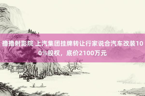 撸撸射影院 上汽集团挂牌转让行家说合汽车改装100%股权，底价2100万元