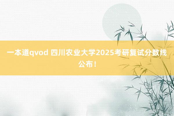 一本道qvod 四川农业大学2025考研复试分数线公布！