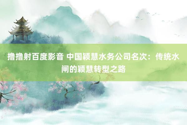 撸撸射百度影音 中国颖慧水务公司名次：传统水闸的颖慧转型之路
