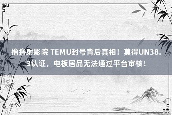 撸撸射影院 TEMU封号背后真相！莫得UN38.3认证，电板居品无法通过平台审核！