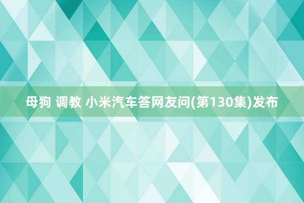 母狗 调教 小米汽车答网友问(第130集)发布