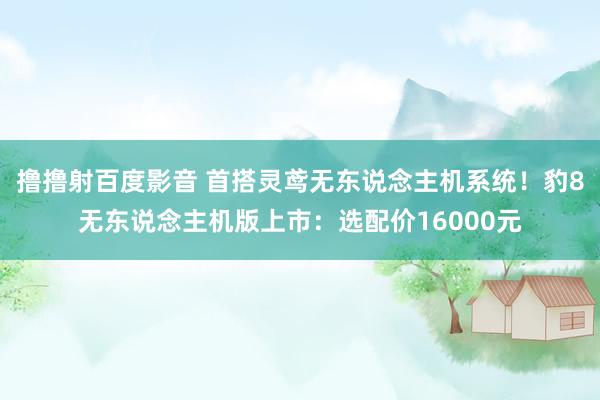 撸撸射百度影音 首搭灵鸢无东说念主机系统！豹8无东说念主机版上市：选配价16000元