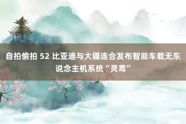 自拍偷拍 52 比亚迪与大疆连合发布智能车载无东说念主机系统“灵鸢”