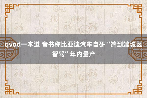 qvod一本道 音书称比亚迪汽车自研“端到端城区智驾”年内量产